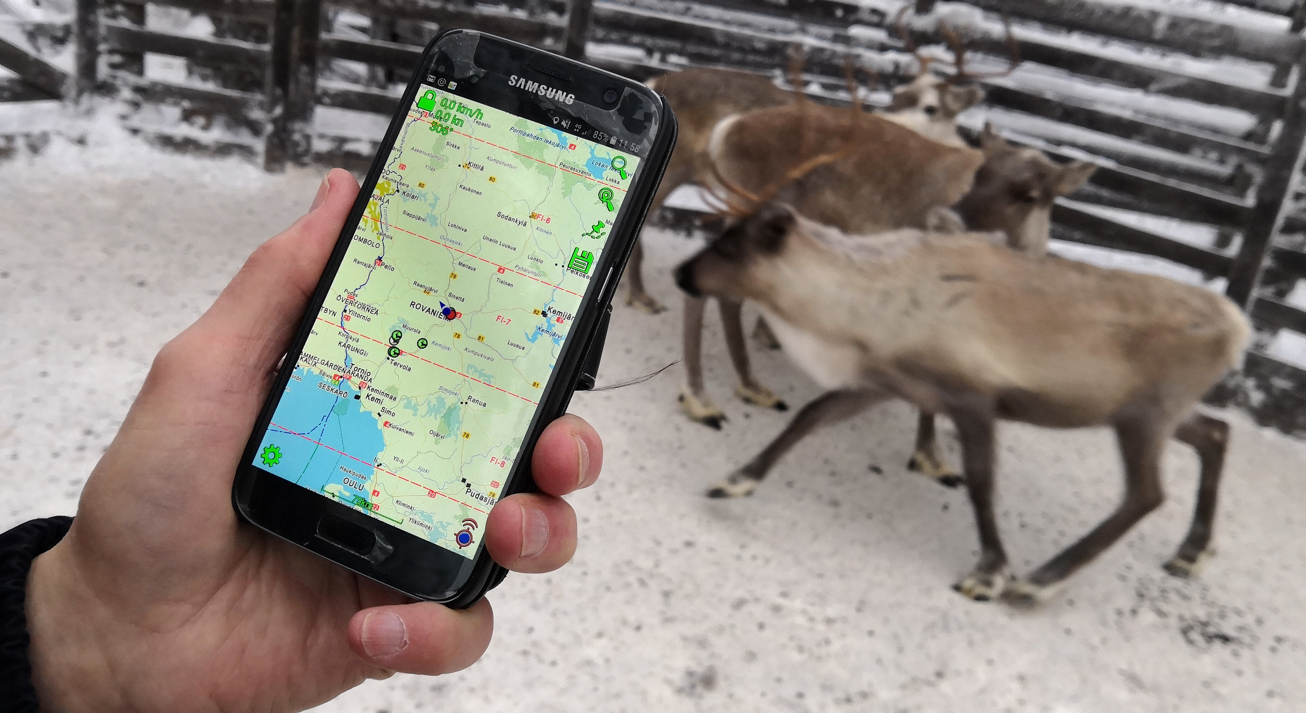 jammer gun works llc - Then One Foggy Christmas Eve, Reindeers Got Connected